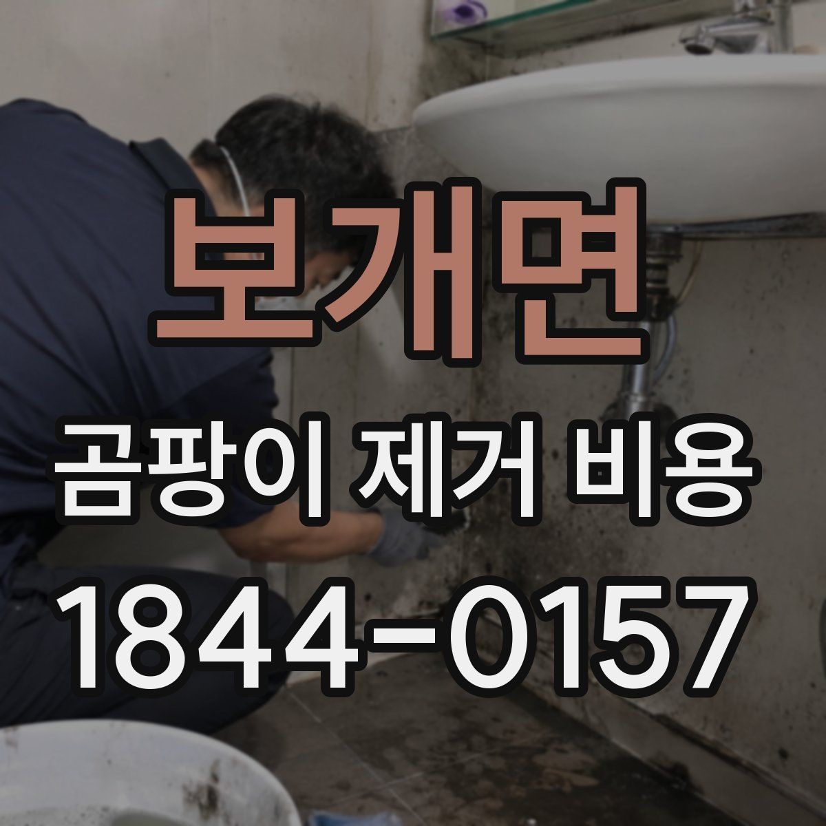 보개면 곰팡이 제거 비용 현장 상태에 따라 달라지는 견적 포인트