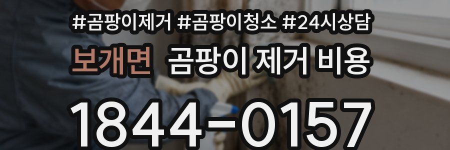 보개면 곰팡이 제거 비용