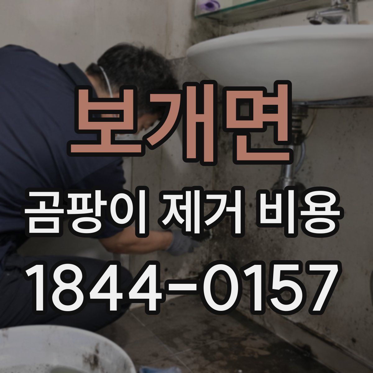 보개면 곰팡이 제거 비용