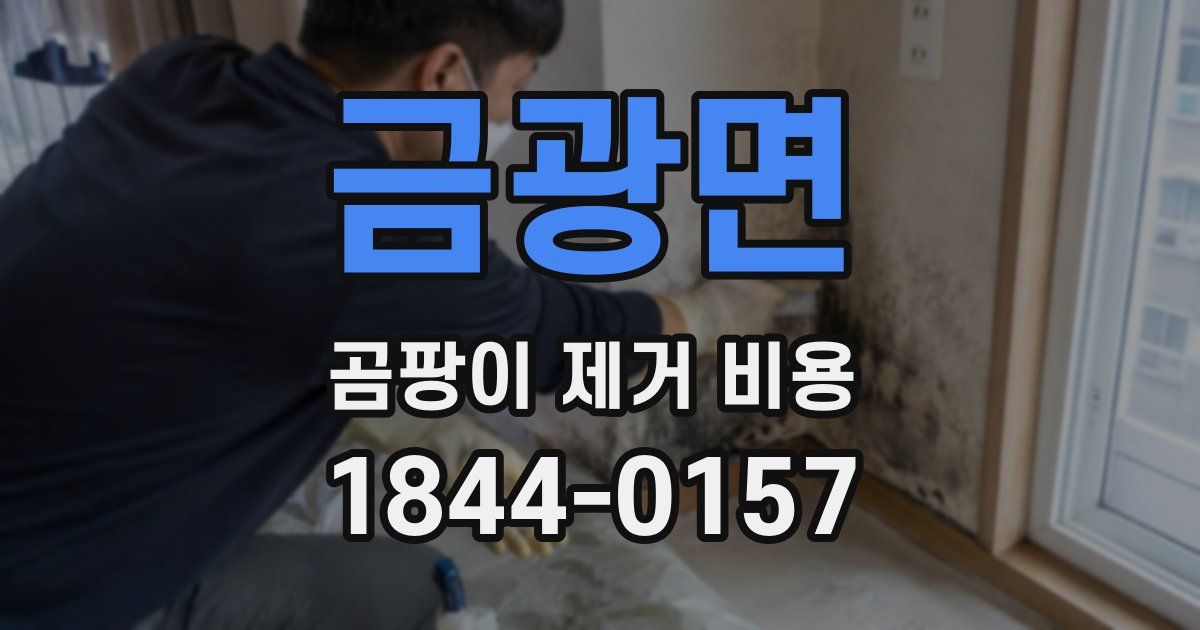 금광면 곰팡이 제거 비용