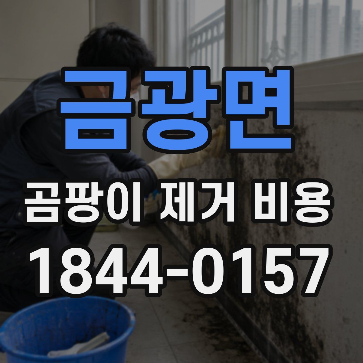 금광면 곰팡이 제거 비용