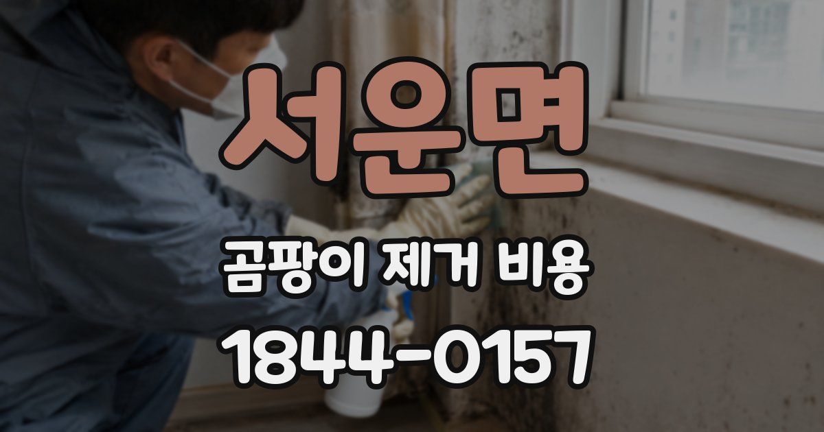 서운면 곰팡이 제거 비용