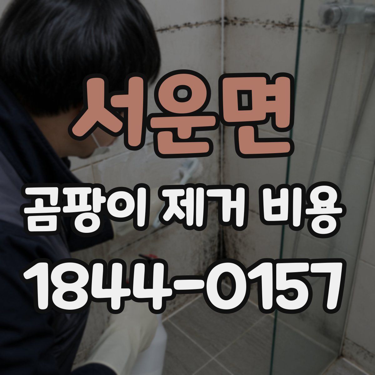 서운면 곰팡이 제거 비용