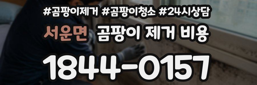 서운면 곰팡이 제거 비용