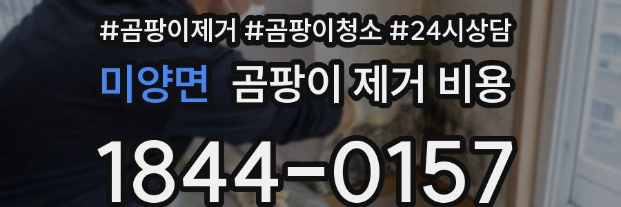 미양면 곰팡이 제거 비용