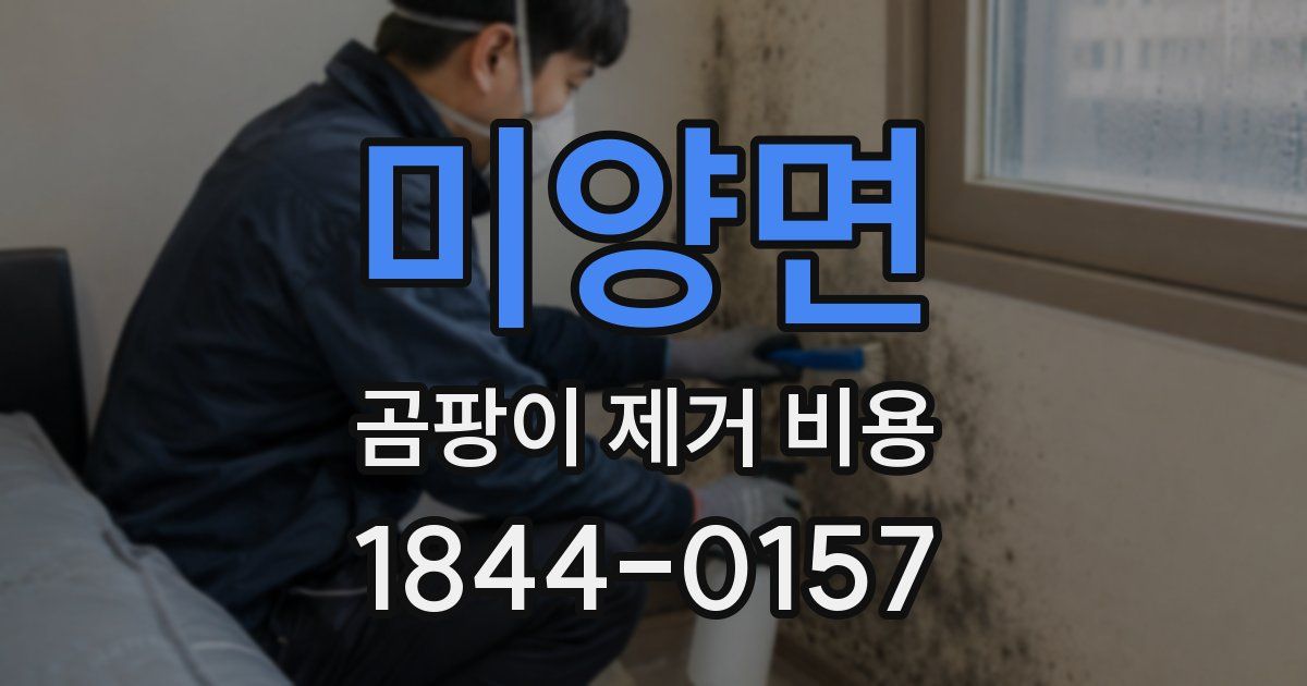 미양면 곰팡이 제거 비용