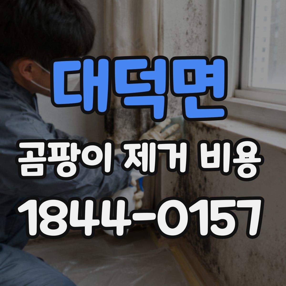 대덕면 곰팡이 제거 비용