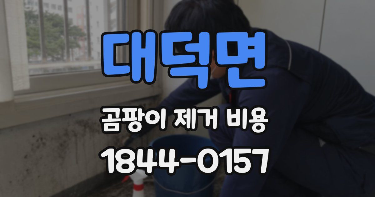 대덕면 곰팡이 제거 비용