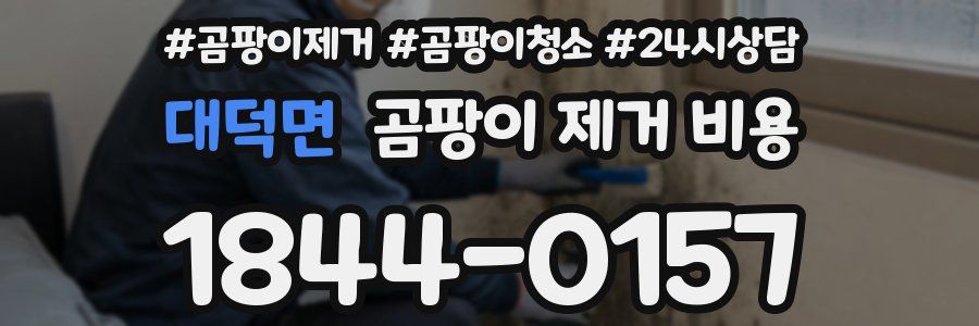 대덕면 곰팡이 제거 비용
