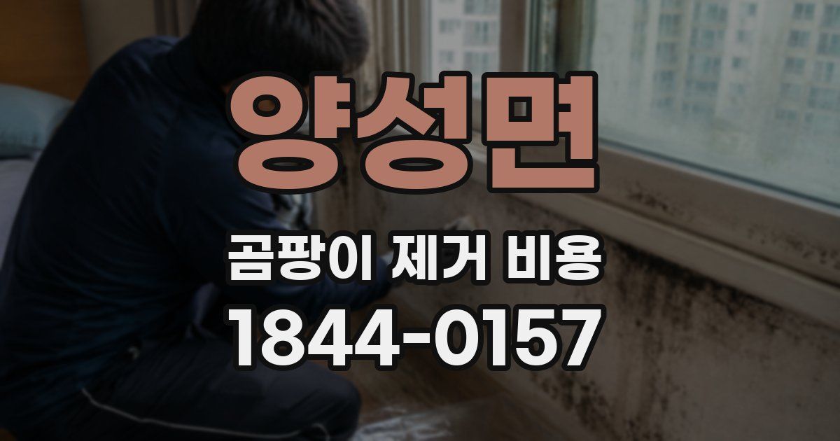 양성면 곰팡이 제거 비용