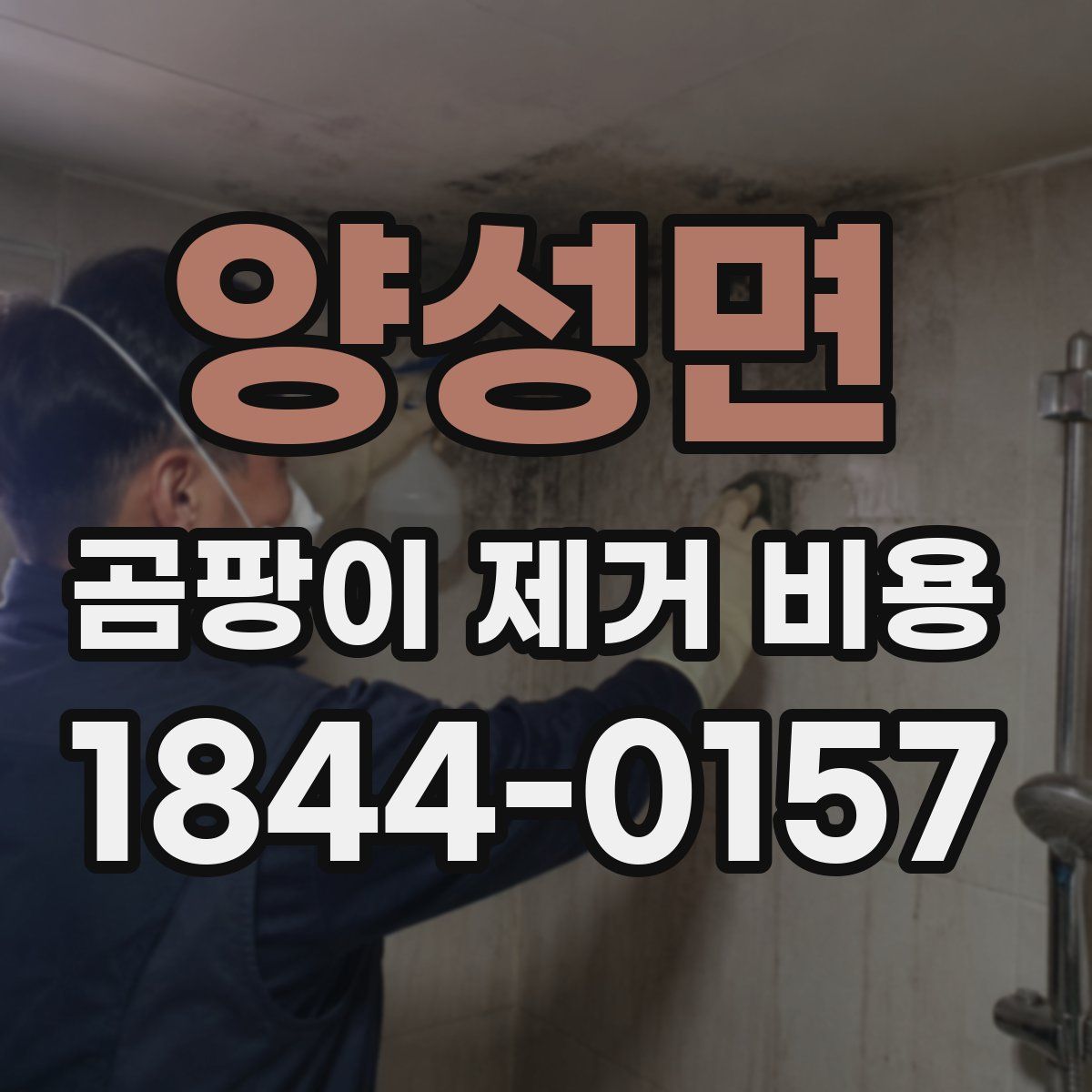 양성면 곰팡이 제거 비용