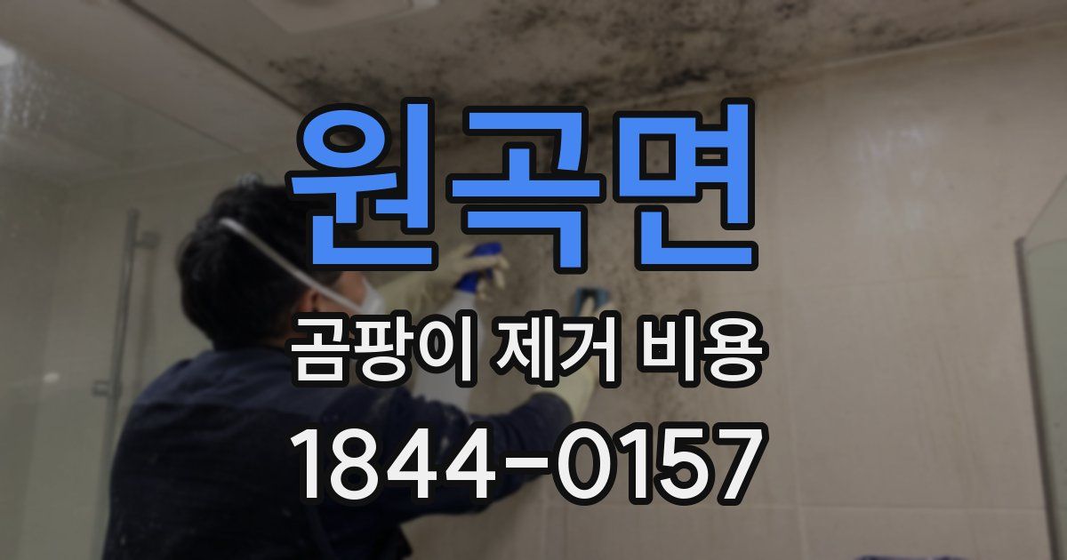 원곡면 곰팡이 제거 비용