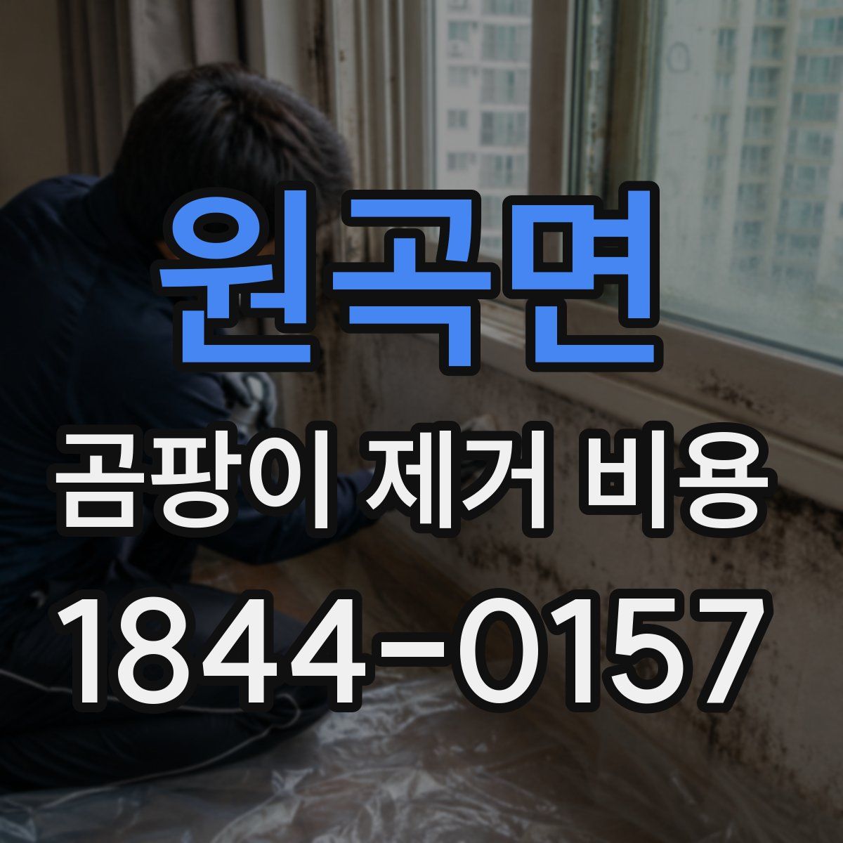 원곡면 곰팡이 제거 비용