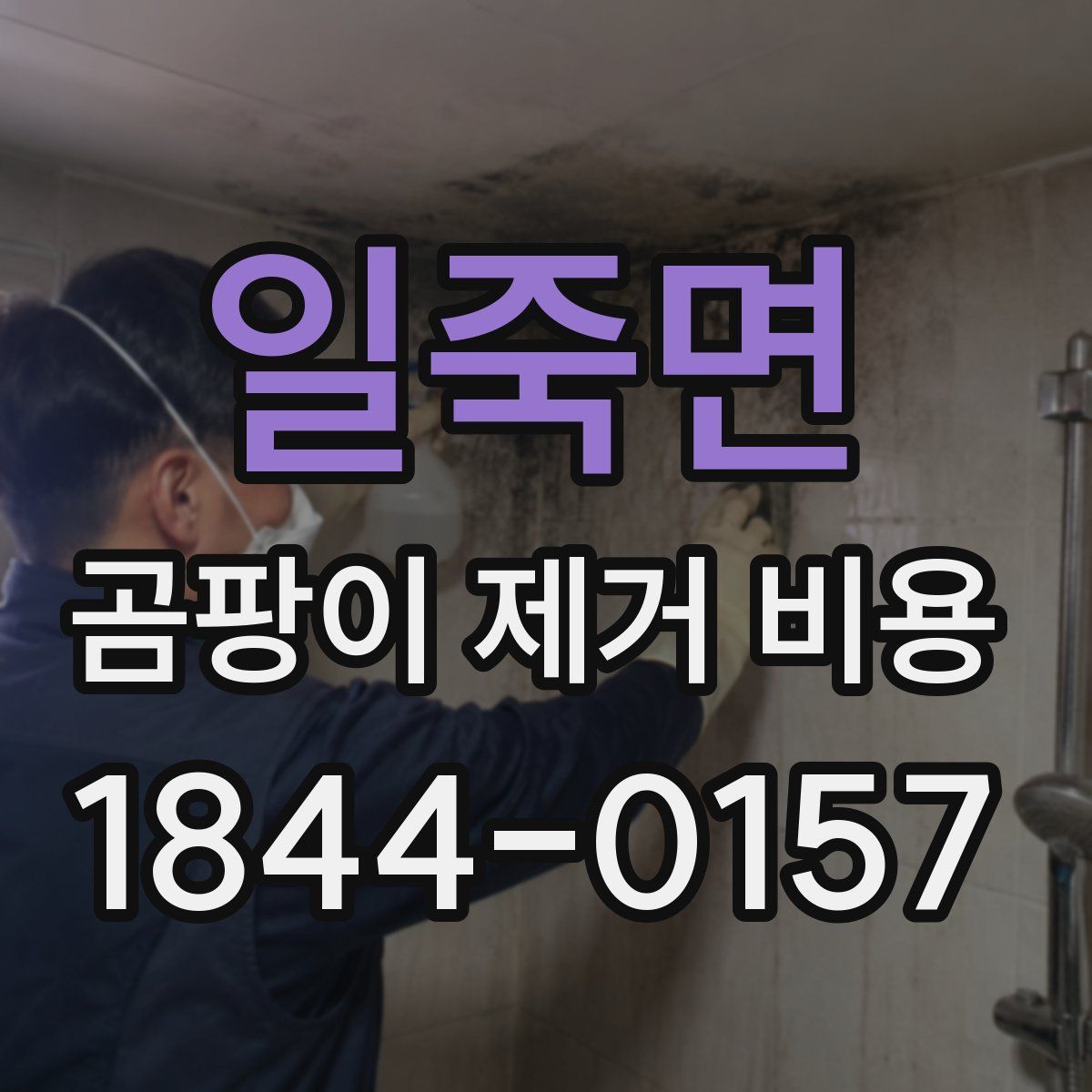 일죽면 곰팡이 제거 비용