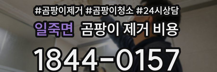 일죽면 곰팡이 제거 비용