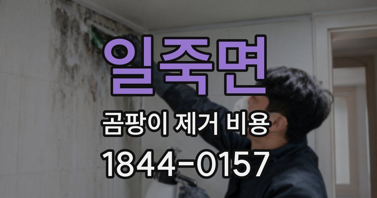 일죽면 곰팡이 제거 비용
