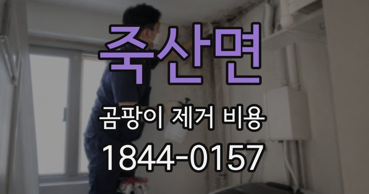 죽산면 곰팡이 제거 비용
