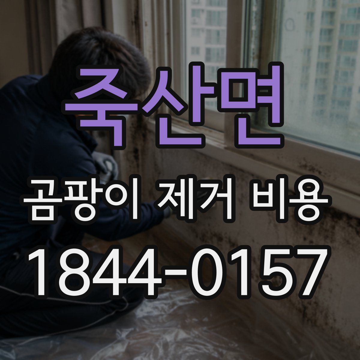 죽산면 곰팡이 제거 비용