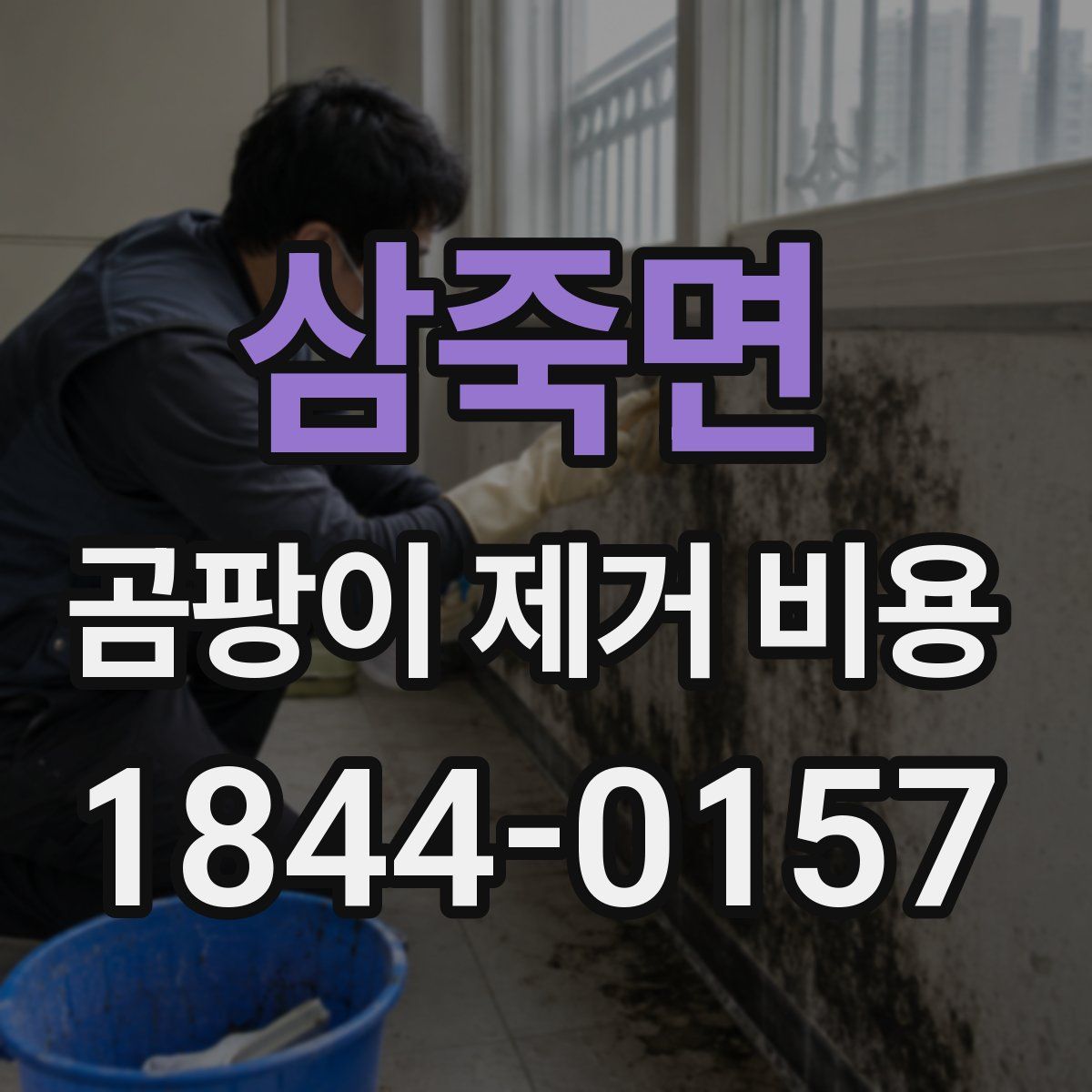 삼죽면 곰팡이 제거 비용