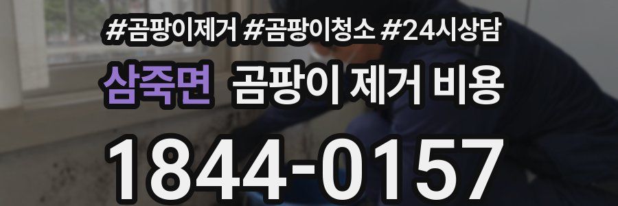 삼죽면 곰팡이 제거 비용
