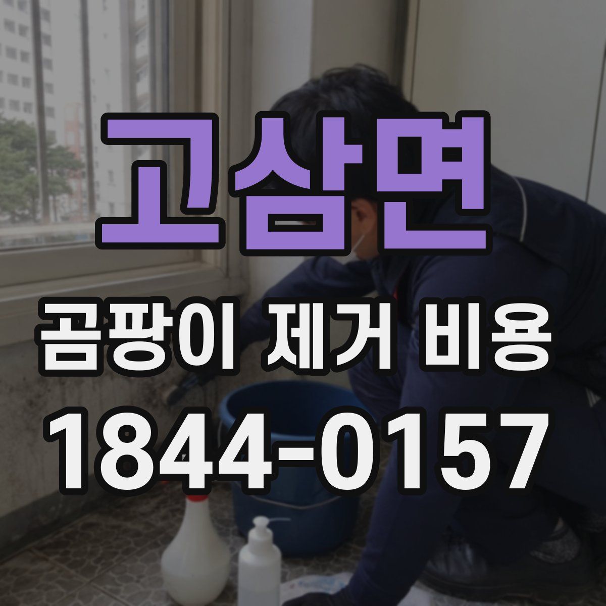 고삼면 곰팡이 제거 비용