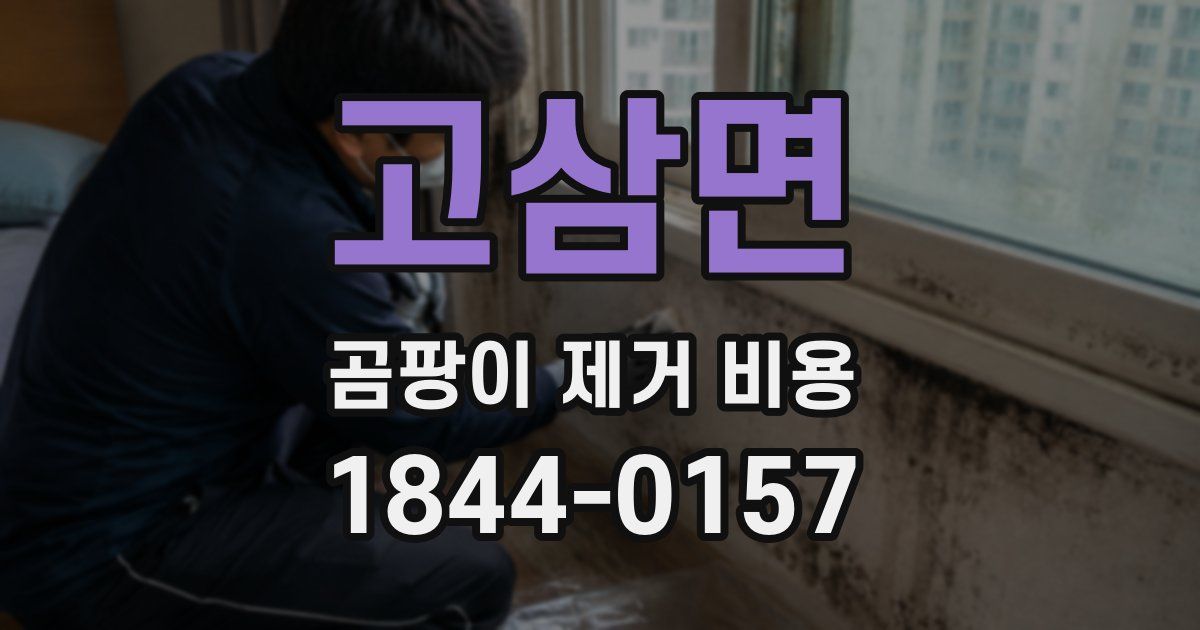 고삼면 곰팡이 제거 비용