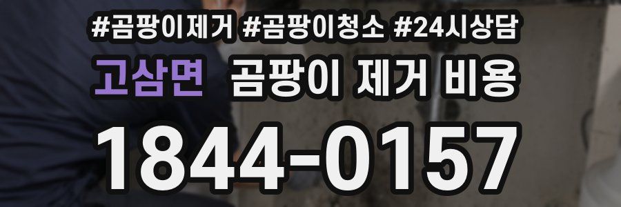 고삼면 곰팡이 제거 비용