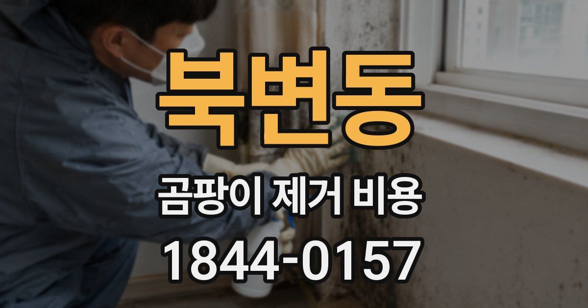 북변동 곰팡이 제거 비용
