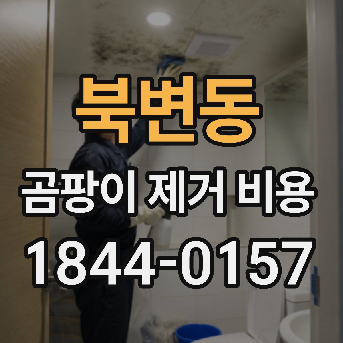 북변동 곰팡이 제거 비용