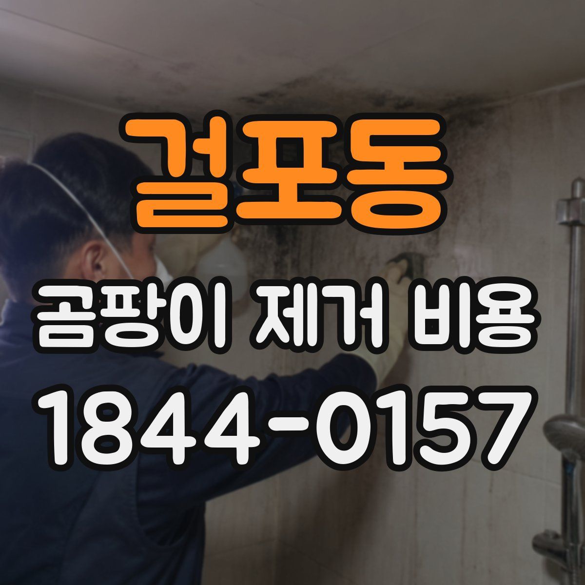 걸포동 곰팡이 제거 비용