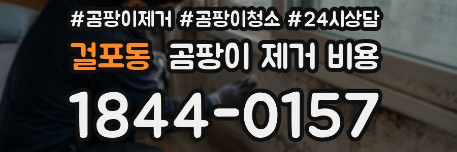 걸포동 곰팡이 제거 비용