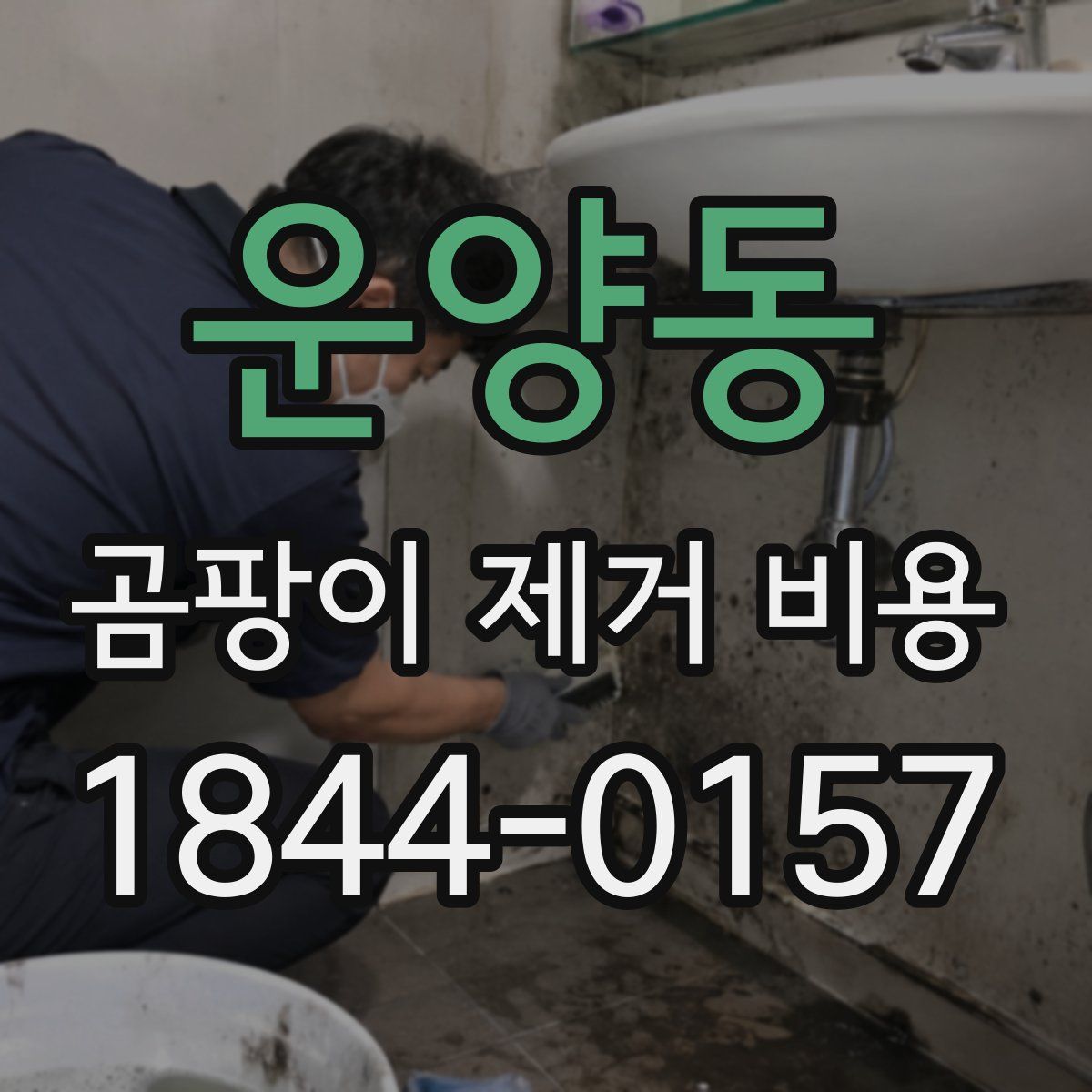 운양동 곰팡이 제거 비용
