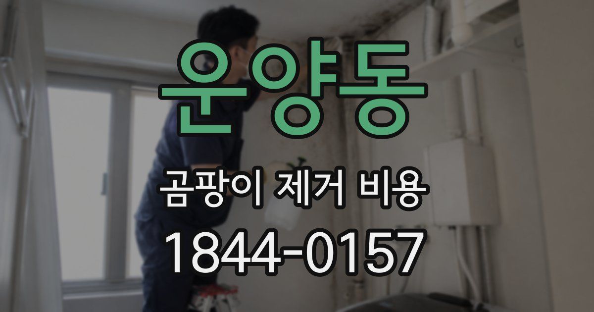 운양동 곰팡이 제거 비용