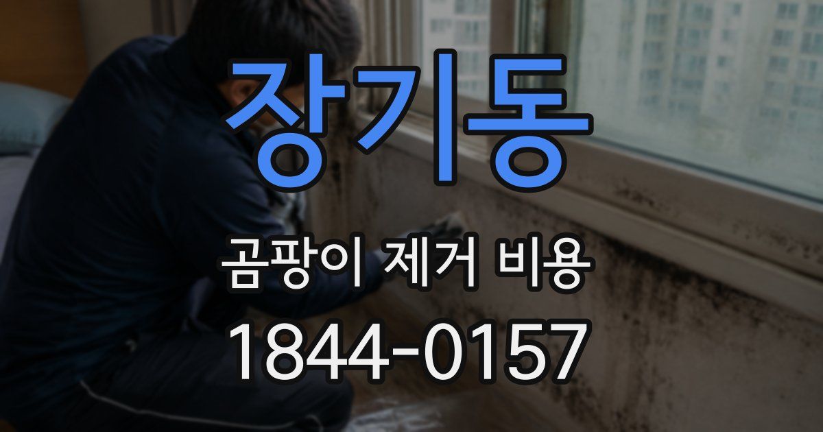 장기동 곰팡이 제거 비용