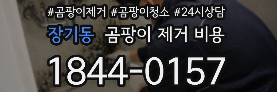 장기동 곰팡이 제거 비용