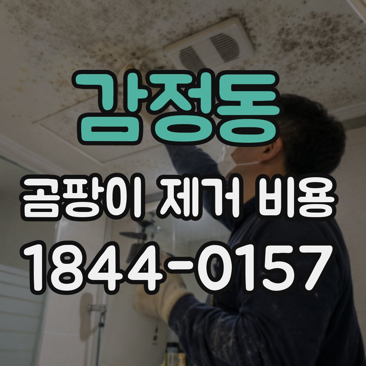 감정동 곰팡이 제거 비용
