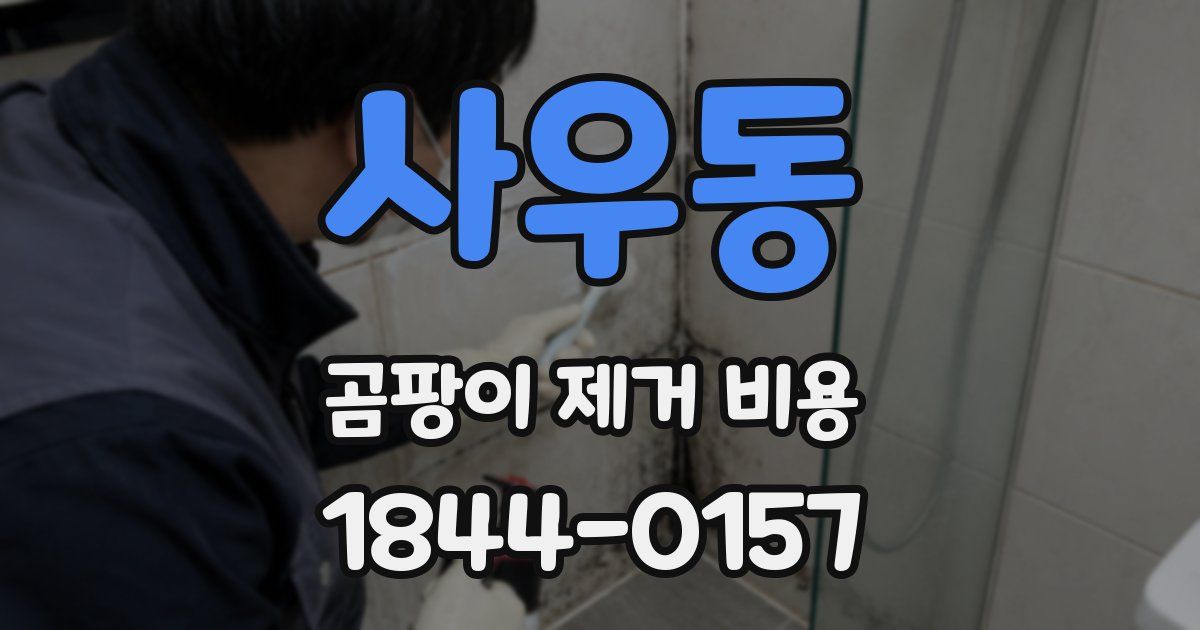 사우동 곰팡이 제거 비용