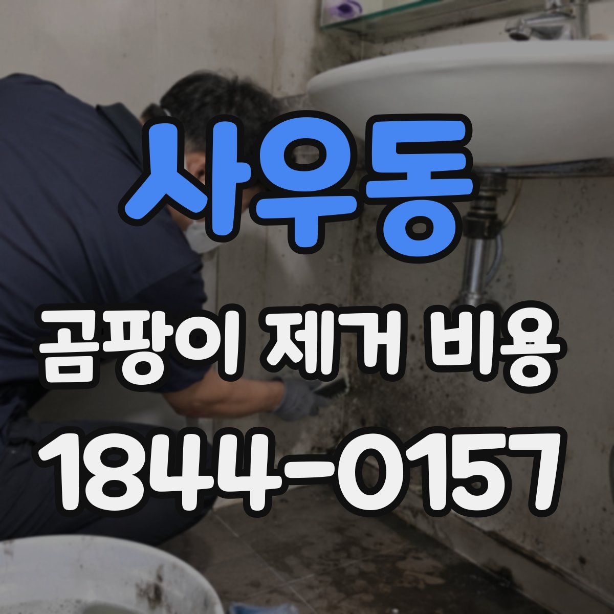 사우동 곰팡이 제거 비용