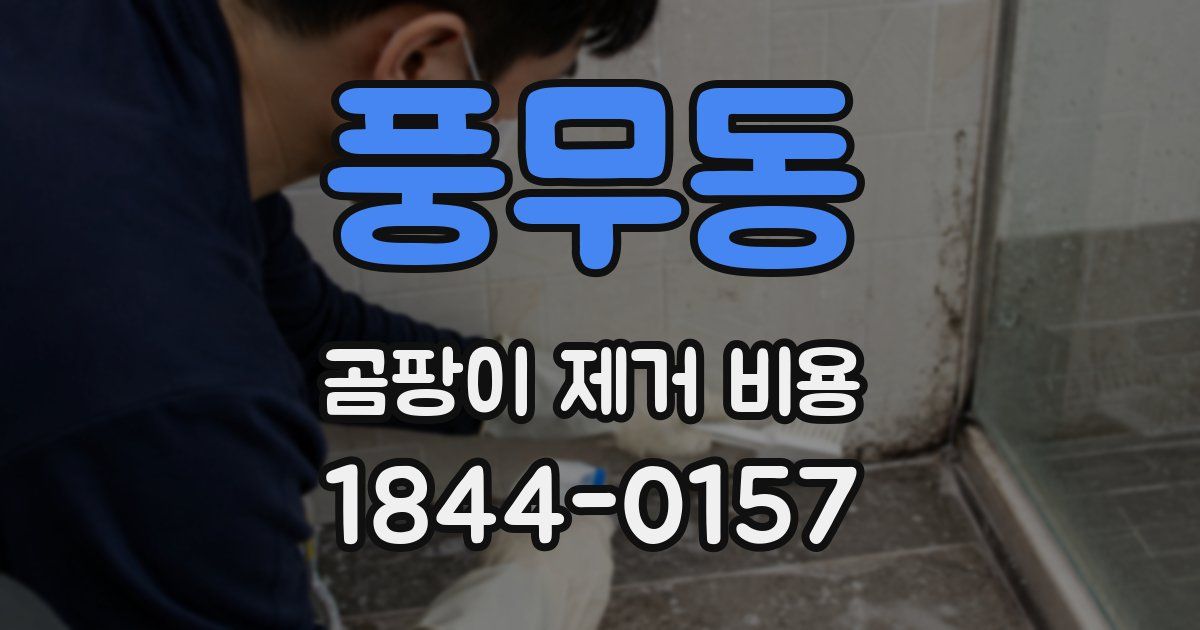 풍무동 곰팡이 제거 비용