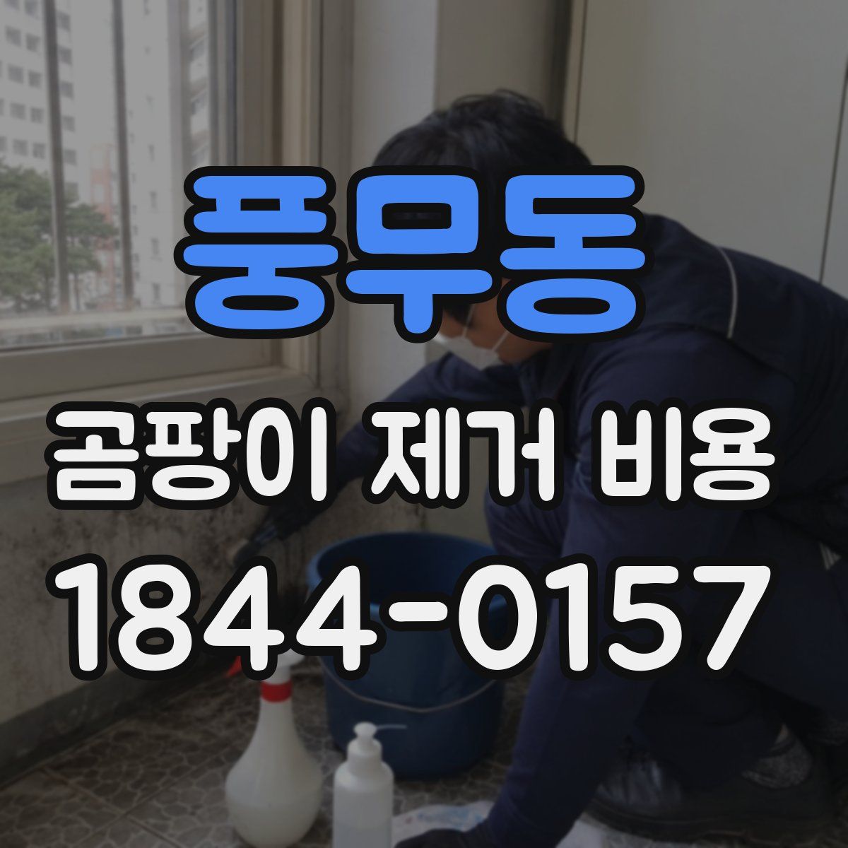 풍무동 곰팡이 제거 비용