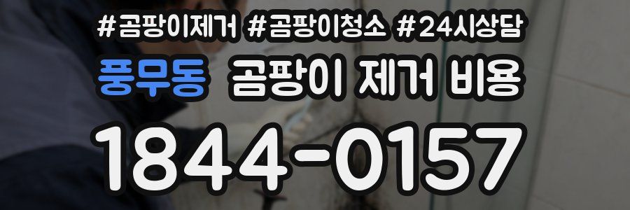 풍무동 곰팡이 제거 비용