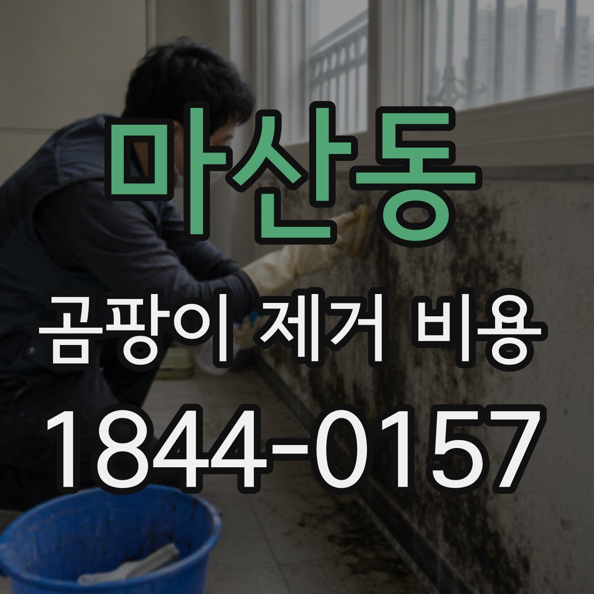 마산동 곰팡이 제거 비용