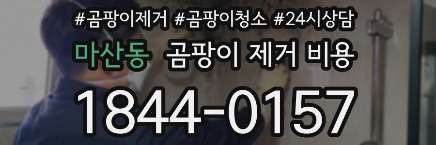 마산동 곰팡이 제거 비용