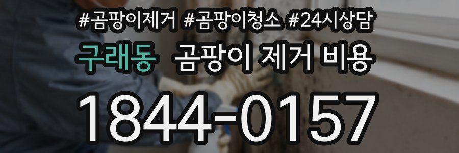 구래동 곰팡이 제거 비용