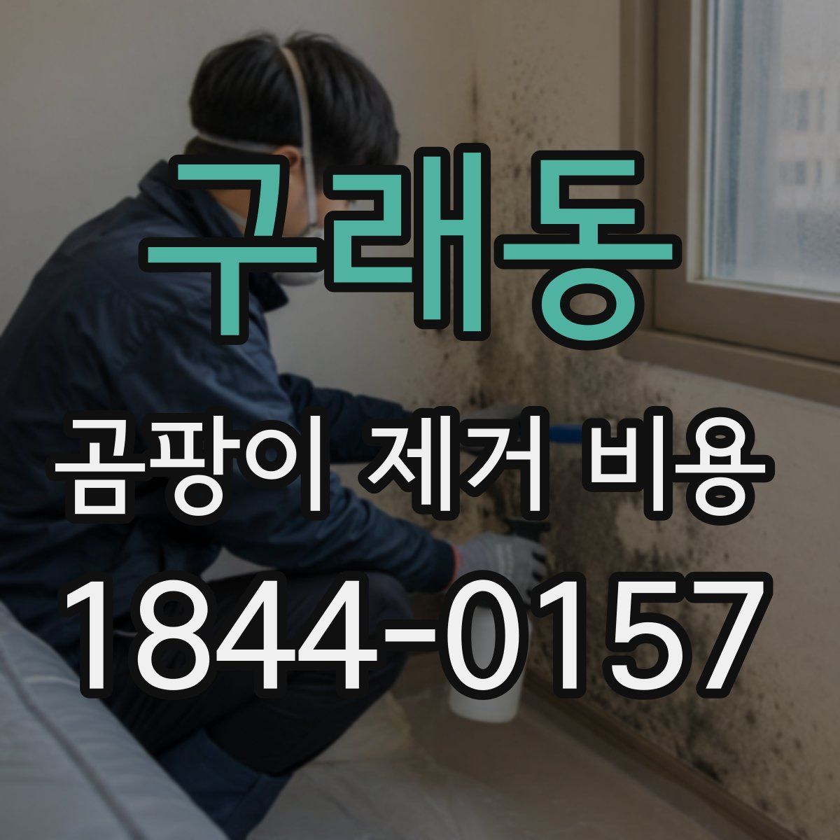 구래동 곰팡이 제거 비용