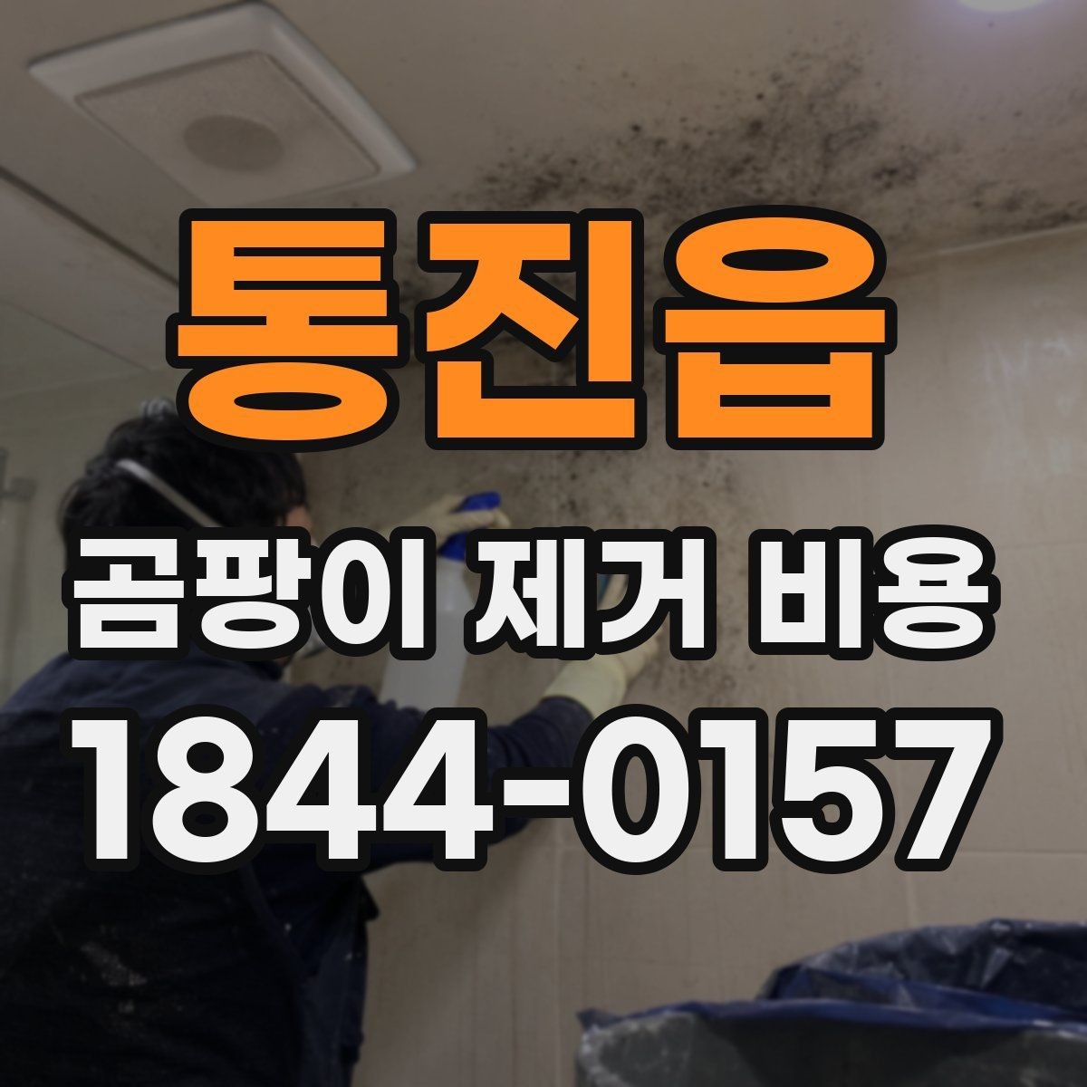 통진읍 곰팡이 제거 비용 가구 보호와 이동이 포함되는지 따져보기