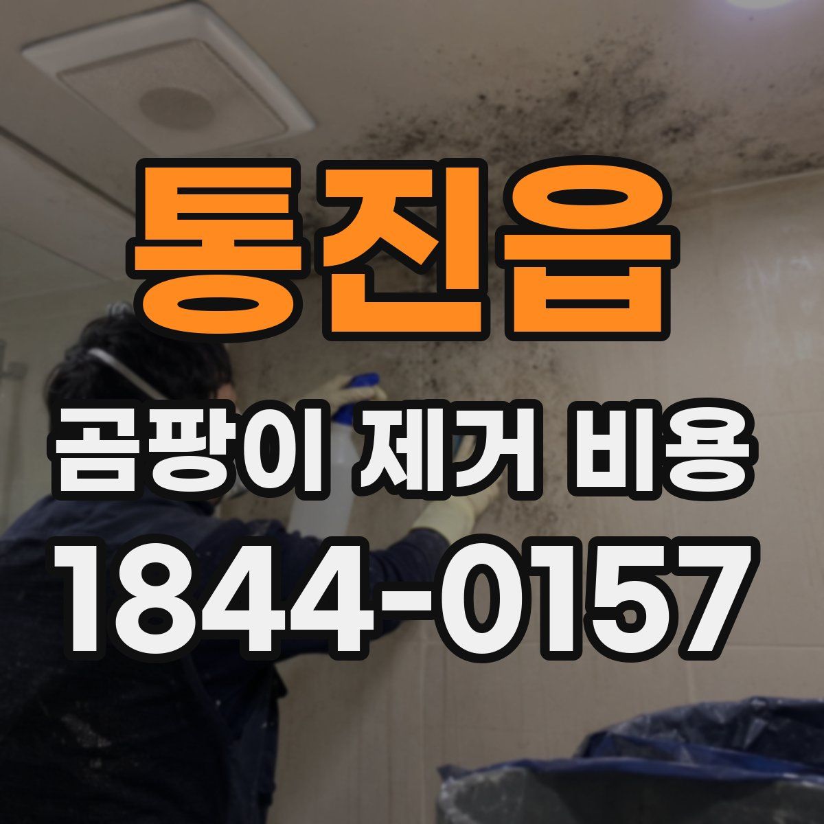 통진읍 곰팡이 제거 비용