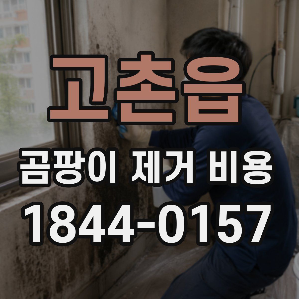 고촌읍 곰팡이 제거 비용