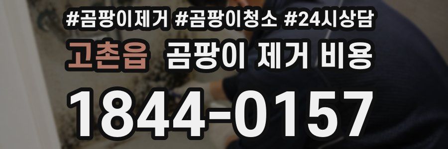 고촌읍 곰팡이 제거 비용