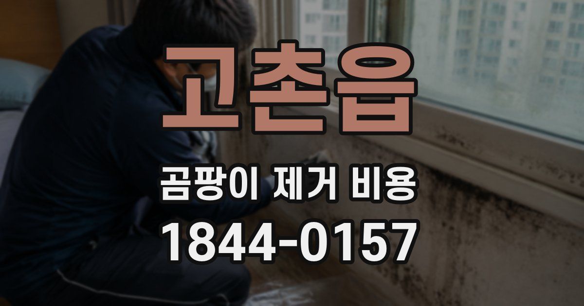 고촌읍 곰팡이 제거 비용